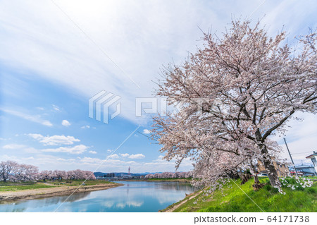 宮城縣藍天和市千千本櫻小川原町 64171738