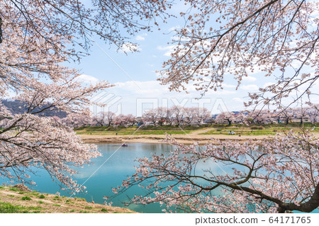 宮城縣藍天和市千千本櫻小川原町 宮城縣藍天和市千千本櫻小川原町 64171765