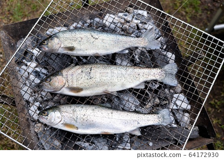BBQ with freshly caught trout 64172930