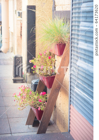 Plant stand with blooming flowers on city street Plant stand with blooming flowers on city street 64173620