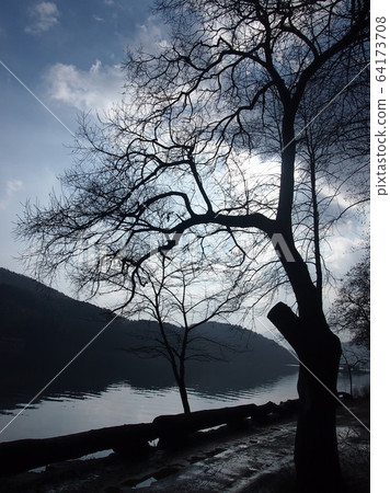 Nami Island Nami Island 64173708