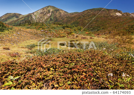 妙高山脈/天狗花園裡的秋葉和內山 妙高山脈/天狗花園裡的秋葉和內山 64174093