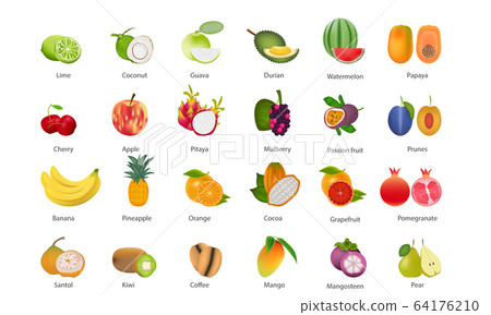 Set of fruits collection vector illustration on - Stock Illustration ...