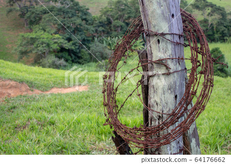A barbed wire roll around a wooden post on a very green grass with trees on the background A barbed wire roll around a wooden post on a very green grass with trees on the background 64176662