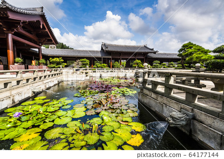 Chi Lin Nunnery, Nan Lian Garden situated at Diamond hill, Kowloon Hong Kong. Japan and Chinese pagoda architecture in garden city town 64177144