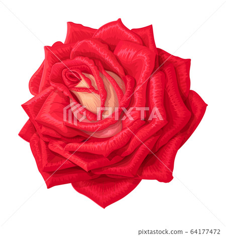 vector rose flower clip art vector rose flower clip art 64177472