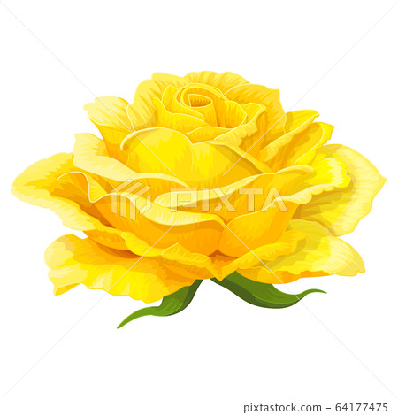 vector rose flower clip art vector rose flower clip art 64177475