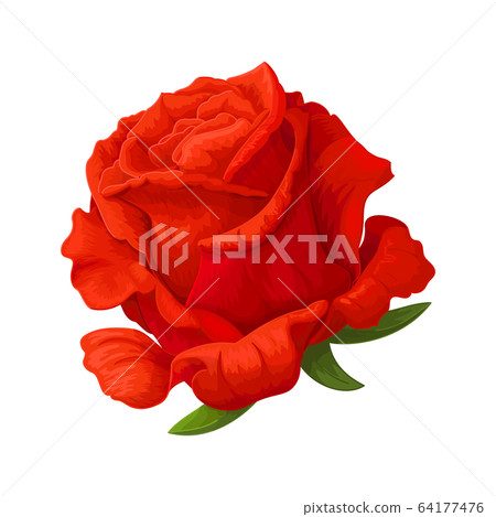 vector rose flower clip art 64177476