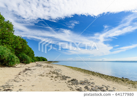 Kaiji Beach Star Sand Beach竹富島 64177980