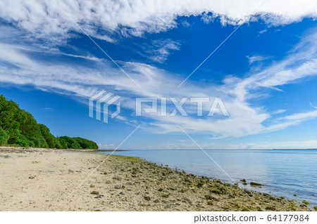 Star sand beach Kaiji beach Star sand beach Kaiji beach 64177984