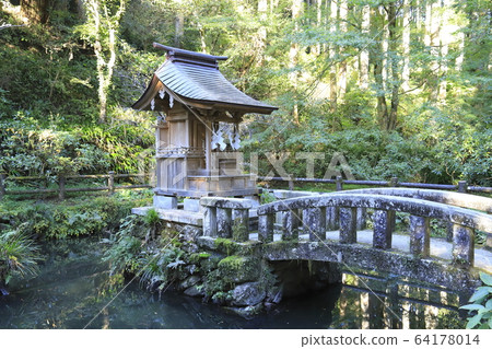 花azo神社轄區池塘茨城市北 花azo神社轄區池塘茨城市北 64178014