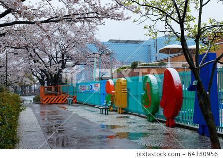 Monuments and cherry blossoms in full bloom with snow at Arakawa Amusement Park 64180956
