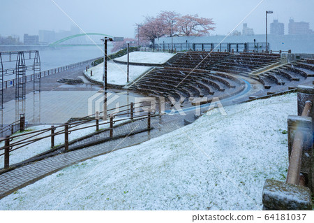 盛開的櫻花和愛麗絲廣場的荒川遊樂園 盛開的櫻花和愛麗絲廣場的荒川遊樂園 64181037