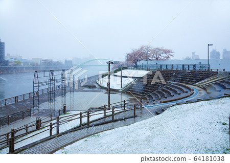 盛開的櫻花和愛麗絲廣場的荒川遊樂園 盛開的櫻花和愛麗絲廣場的荒川遊樂園 64181038