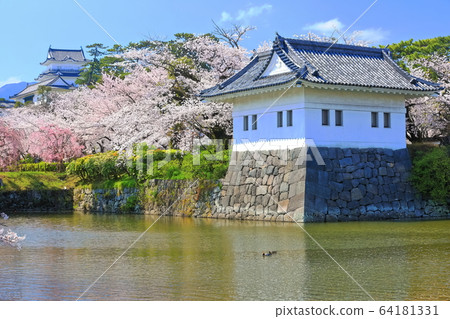 [神奈川縣]小田原城盛開和角塔 64181331