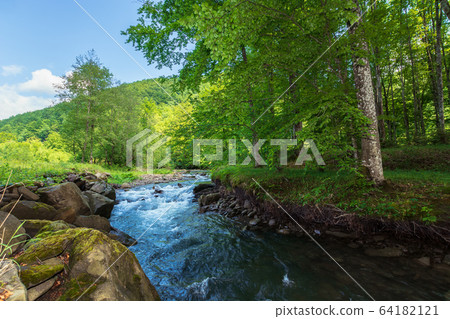 forest river in spring. water flows among the mossy rocks. refreshing  nature background. beautiful scenery on a sunny day Stock Photo