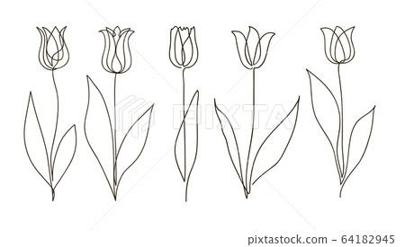 Tulip flower set. Continuous drawing. Line art concept design. Stylish modern trend pattern for decoration of invitation card, banner Tulip flower set. Continuous drawing. Line art concept design. Stylish modern trend pattern for decoration of invitation card, banner 64182945