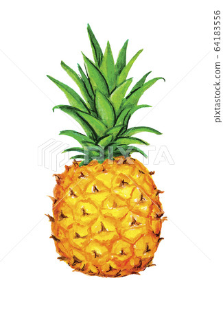 Pineapple icon. Tropical exotic fruit shape 64183556