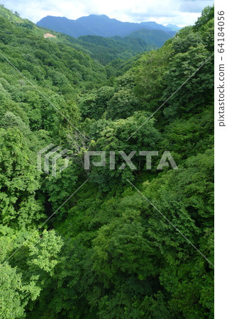 Fresh green mountains seen from the canopy bridge [Murakami, Niigata] 64184056
