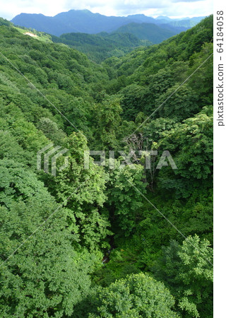 Fresh green mountains seen from the canopy bridge [Murakami, Niigata] 64184058