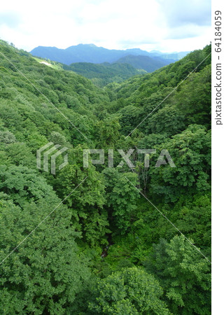 Fresh green mountains seen from the canopy bridge [Murakami, Niigata] 64184059