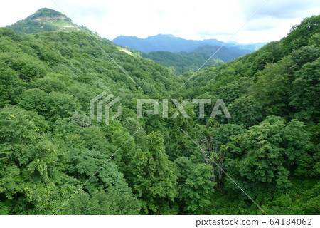 Fresh green mountains seen from the canopy bridge [Murakami, Niigata] 64184062