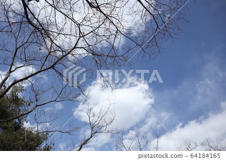 藍天,藍天 藍天,藍天 64184165