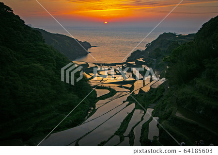 Rice terraces of Hamanoura, Saga Prefecture Rice terraces of Hamanoura, Saga Prefecture 64185603