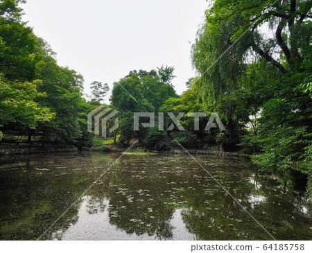 Changgyeonggung Palace, Pond and Forest in Korea 64185758