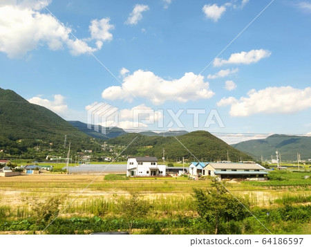 Rural landscape Rural landscape 64186597