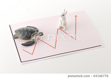 Usagi and tortoise Usagi and tortoise 64186778