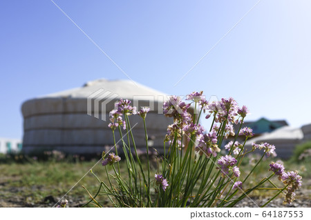 Gobi desert 64187553