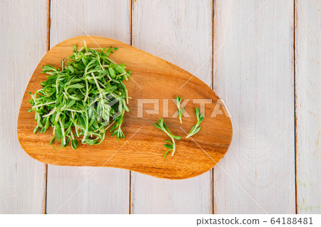 Spring vegetables and herbs, close up of nutritious greens sprouting in spring. 113 64188481