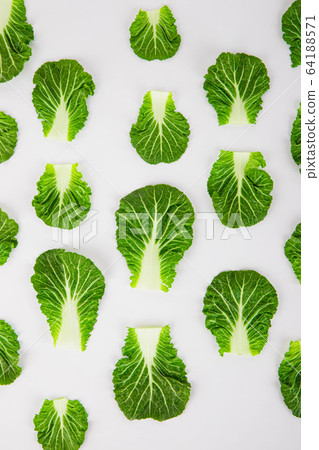 Spring vegetables and herbs, close up of nutritious greens sprouting in spring. 028 64188571