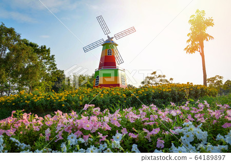 Landscape colorful flower garden and windmill on 64189897