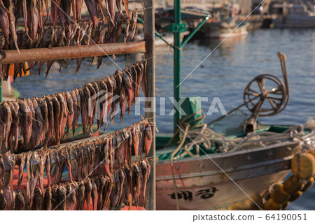 fishing village landscape. fresh fish market at the port in Korea 056 64190051