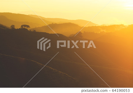 Tea plantation landscape Tea plantation landscape 64190053