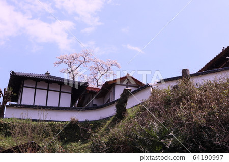Cherry blossoms in the sky 64190997