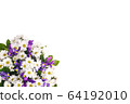 Bouquet of flowers from chamomiles and irises on a 64192010