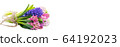 Multicolored hyacinths in a bouquet on a white 64192023