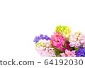 Multicolored hyacinths in a bouquet on a white 64192030