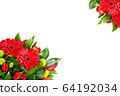 Bouquet of gerberas on a white background 64192034