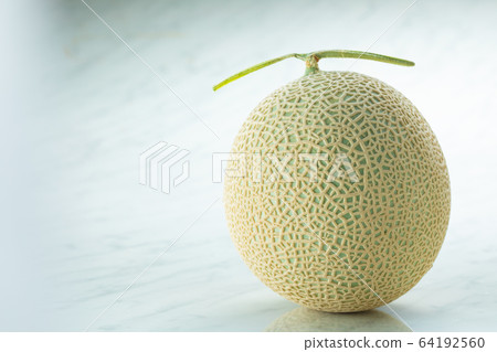 皇冠瓜白背目錄 64192560