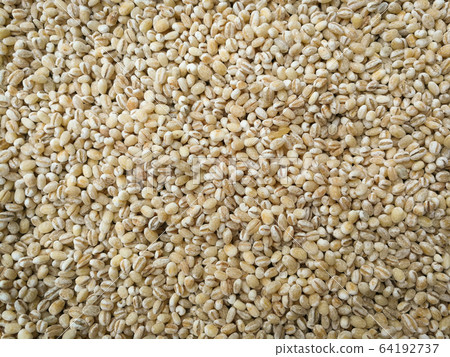 sorghum seed background / grains or cereal sorghum 64192737