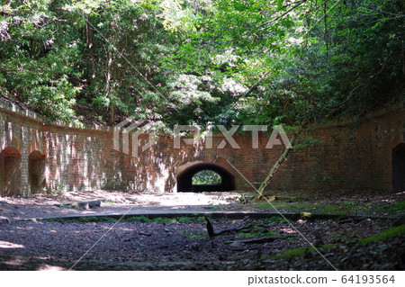 和歌山/友島 64193564