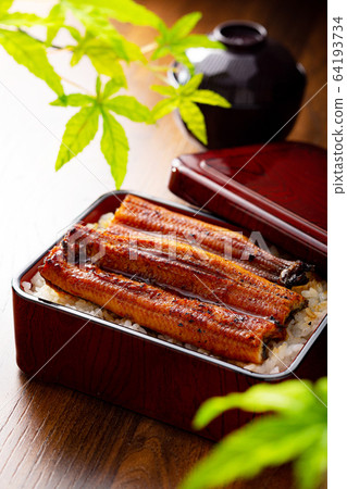 Unaju catalog 64193734