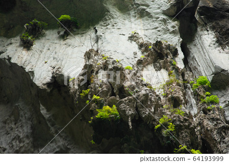 View in the Batu Caves 64193999