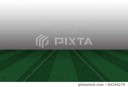 Lawn sports playground stadium, ground, soccer field, rugby, etc. Lawn sports playground stadium, ground, soccer field, rugby, etc. 64194274