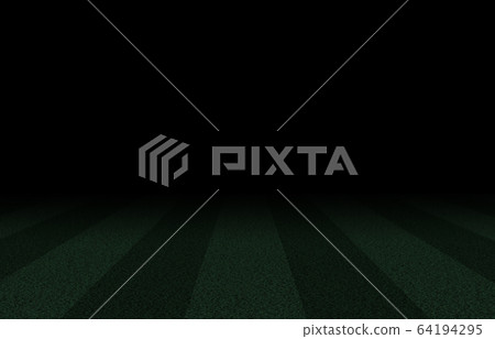 Lawn sports playground stadium, ground, soccer field, rugby, etc. Lawn sports playground stadium, ground, soccer field, rugby, etc. 64194295