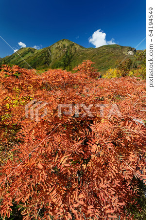 在天狗的花園裡的uch山，羅文和妙高山脈的秋葉 64194549